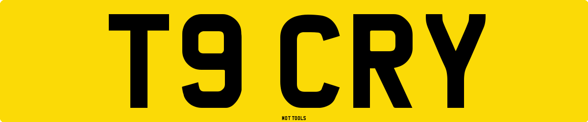 T9CRY MOT Check