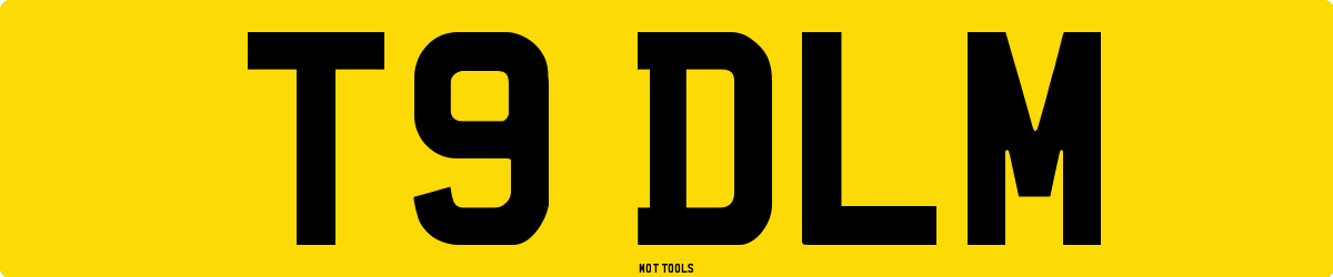 T9DLM MOT Check