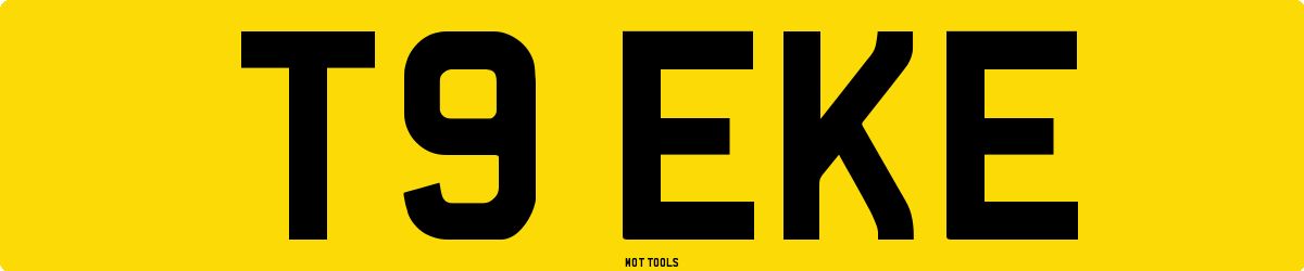 T9EKE MOT Check