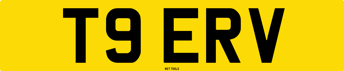 T9ERV MOT Check