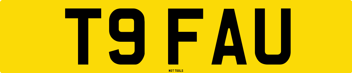 T9FAU MOT Check