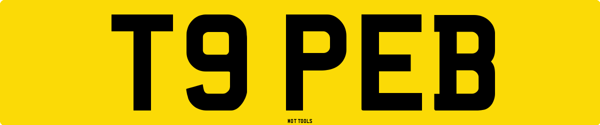 T9PEB MOT Check