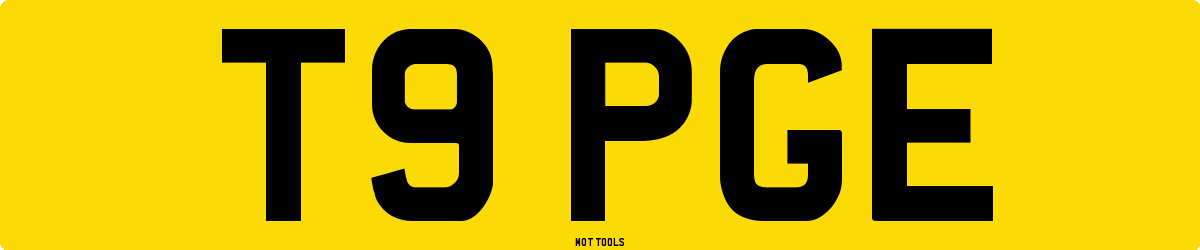 T9PGE MOT Check