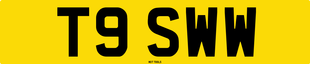 T9SWW MOT Check