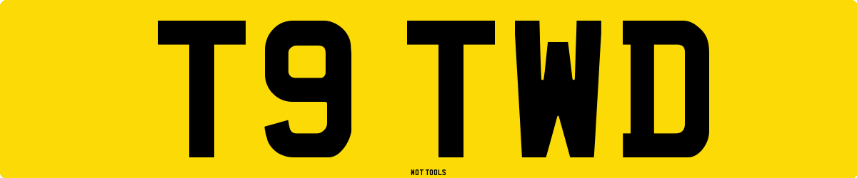 T9TWD MOT Check