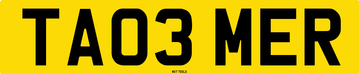 TA03MER MOT Check