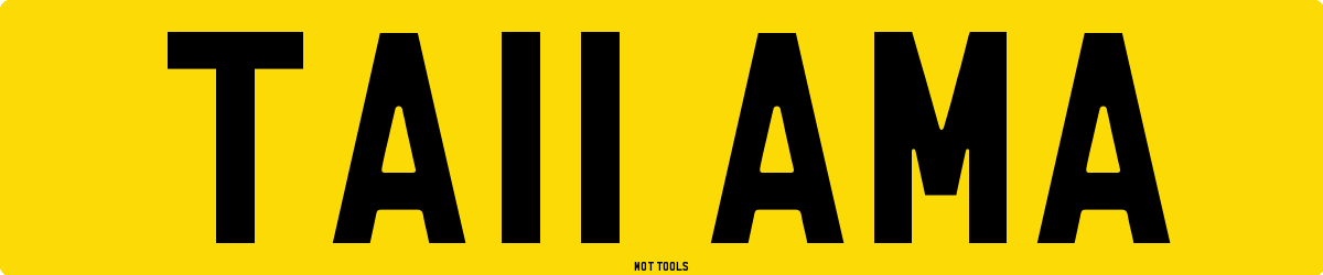 TA11AMA MOT Check
