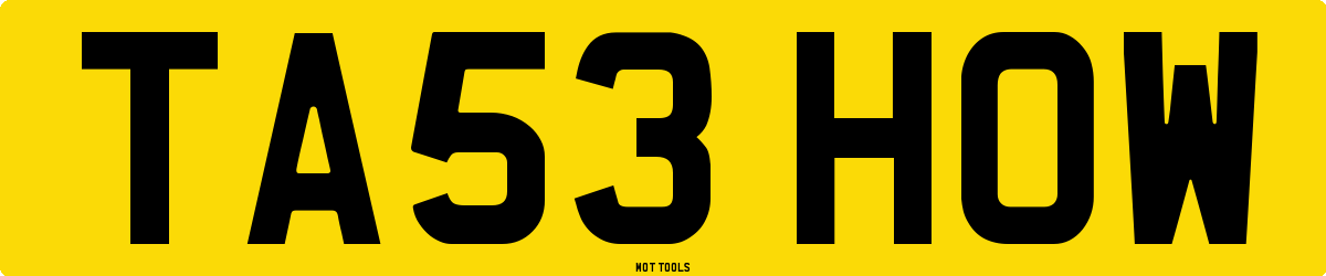 TA53HOW MOT Check