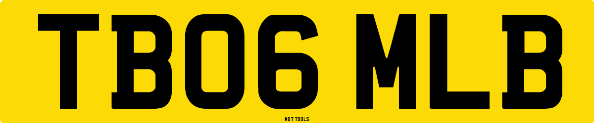 TB06MLB MOT Check