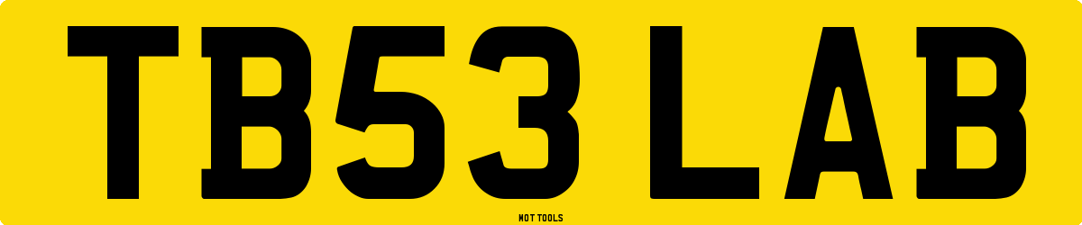 TB53LAB MOT Check