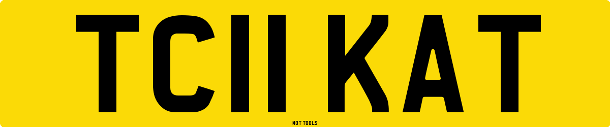 TC11KAT MOT Check