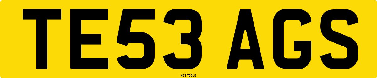TE53AGS MOT Check