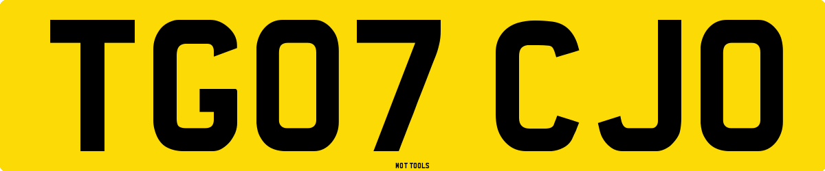 TG07CJO MOT Check