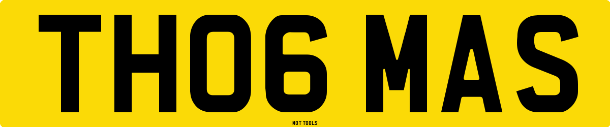 TH06MAS MOT Check
