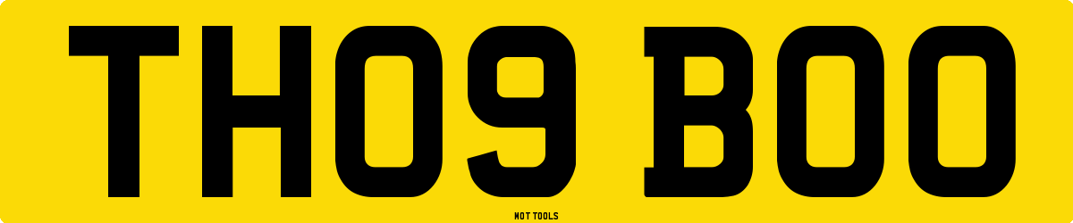 TH09BOO MOT Check