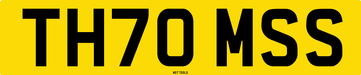 TH70MSS MOT Check