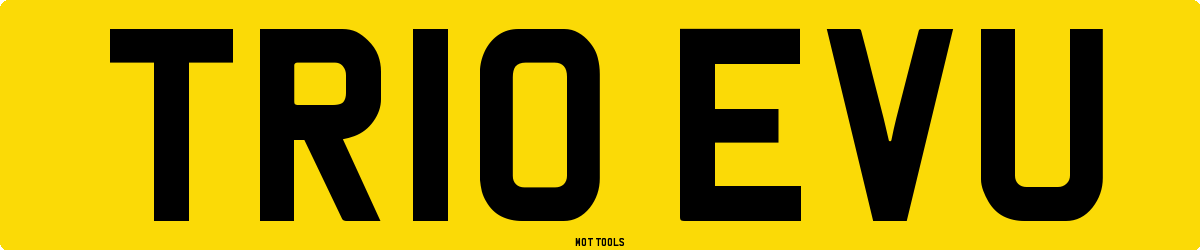 TR10EVU MOT Check