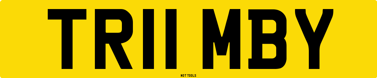 TR11MBY MOT Check