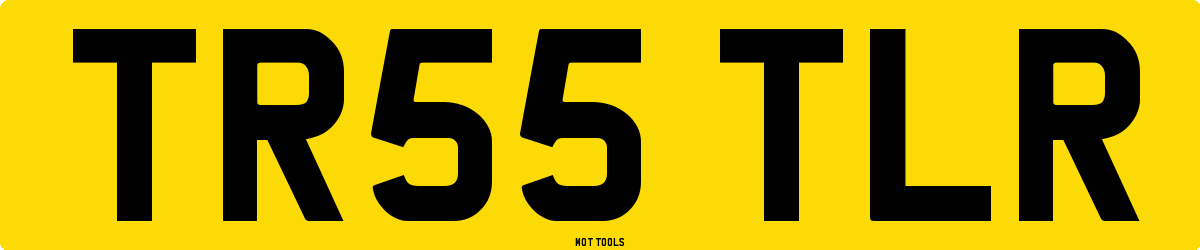 TR55TLR MOT Check