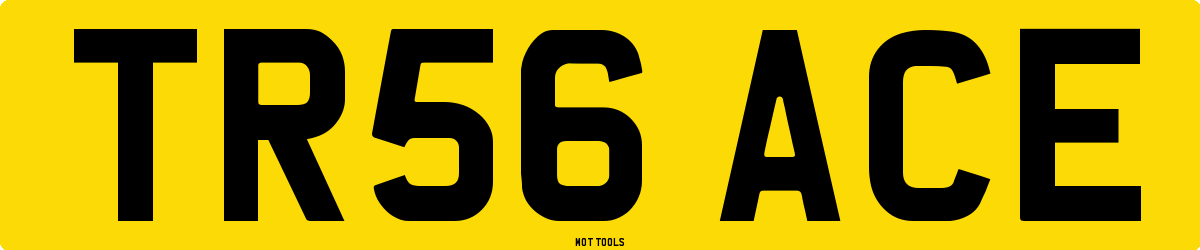 TR56ACE MOT Check