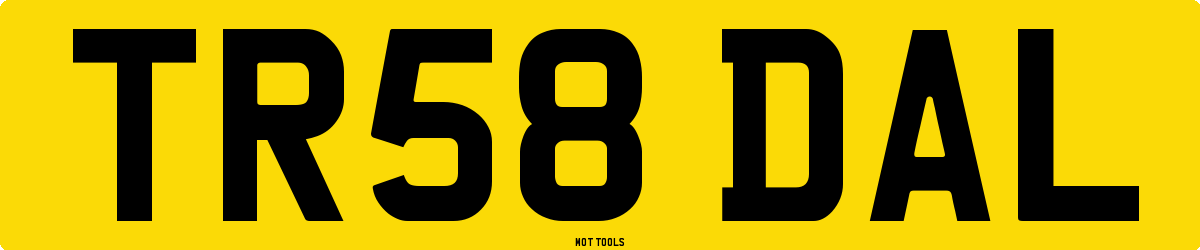 TR58DAL MOT Check