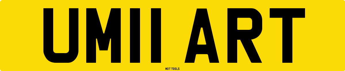 UM11ART MOT Check