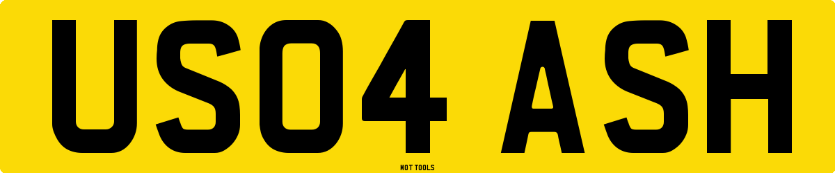 US04ASH MOT Check