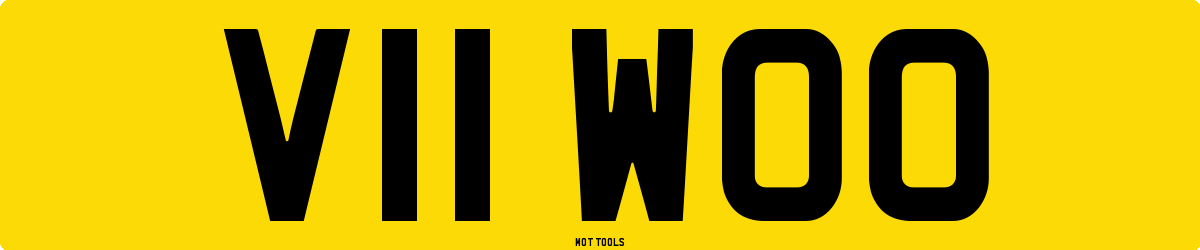 V11WOO MOT Check