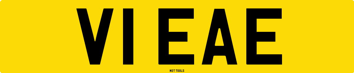 V1EAE MOT Check