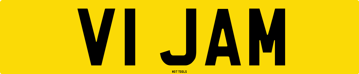 V1JAM MOT Check