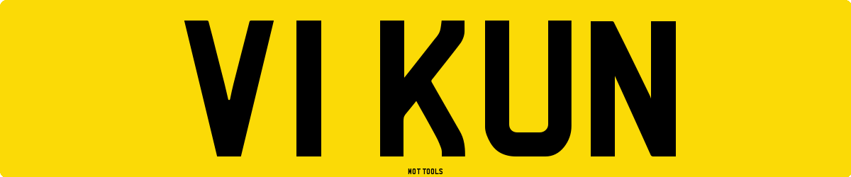 V1KUN MOT Check