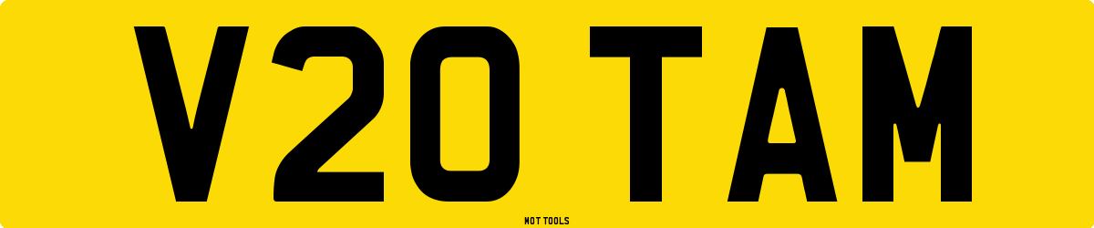 V20TAM MOT Check