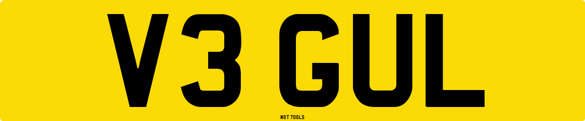 V3GUL MOT Check