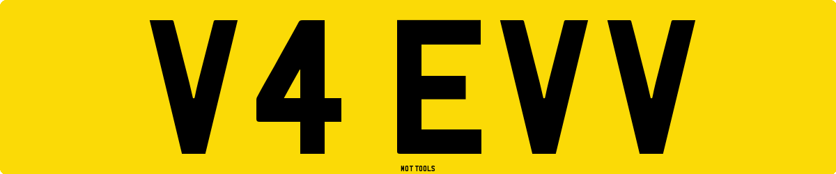V4EVV MOT Check