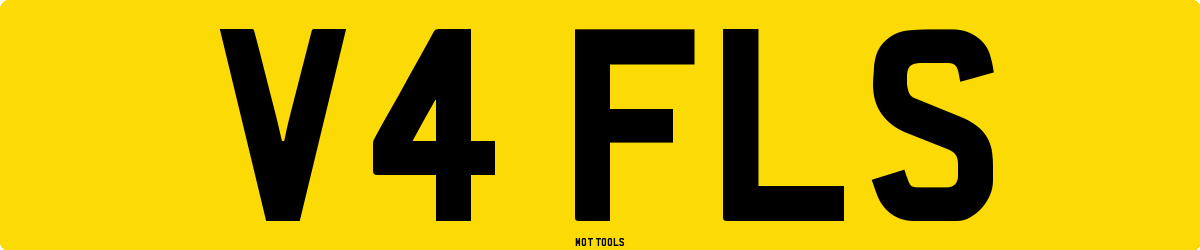 V4FLS MOT Check
