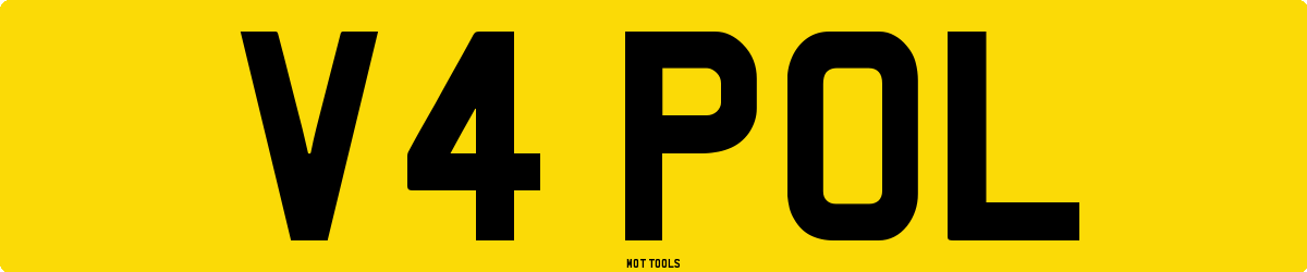 V4POL MOT Check