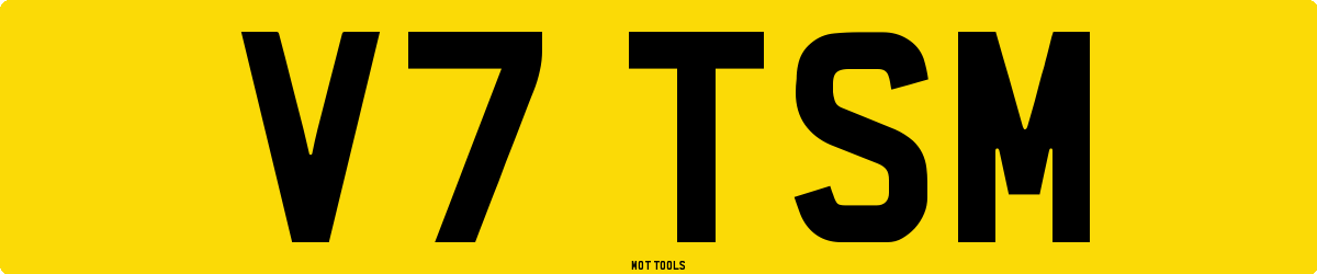 V7TSM MOT Check
