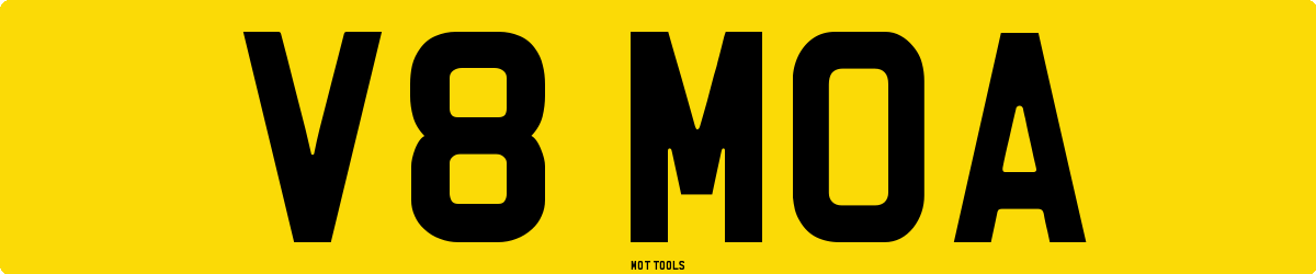 V8MOA MOT Check