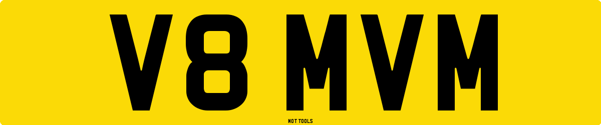 V8MVM MOT Check