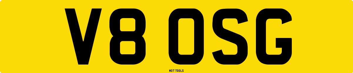 V8OSG MOT Check