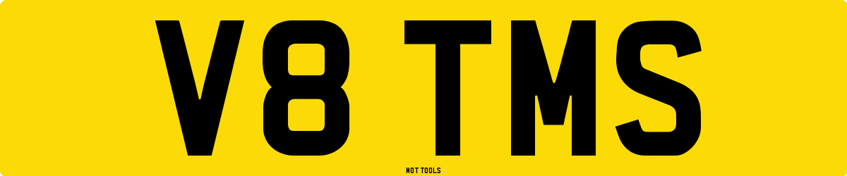 V8TMS MOT Check