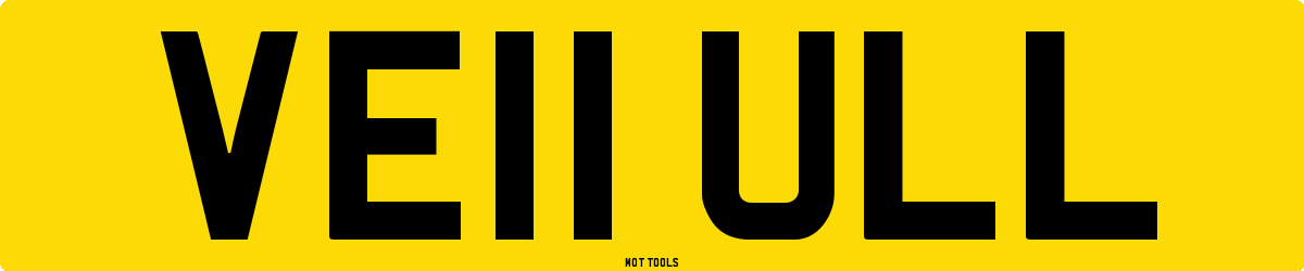 VE11ULL MOT Check