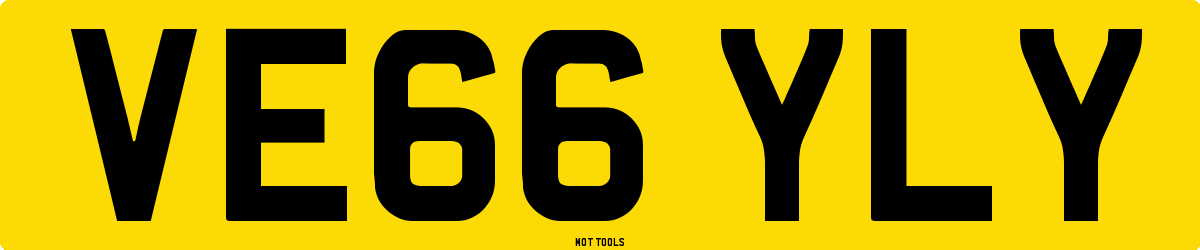 VE66YLY MOT Check