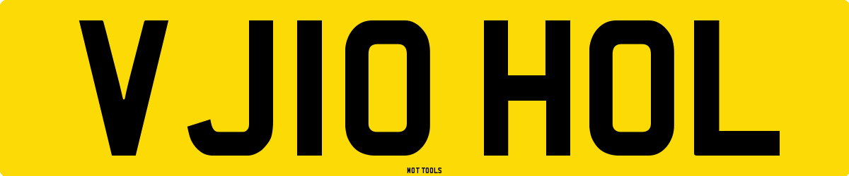 VJ10HOL MOT Check
