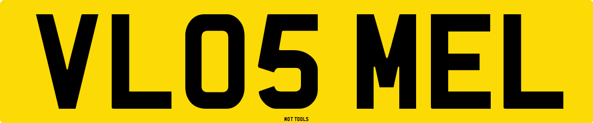 VL05MEL MOT Check