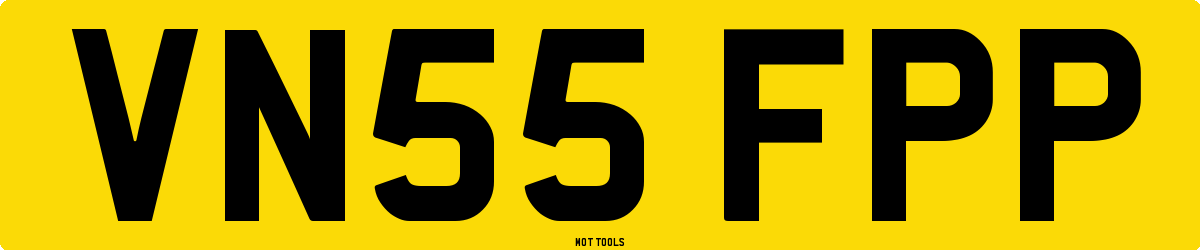 VN55FPP MOT Check