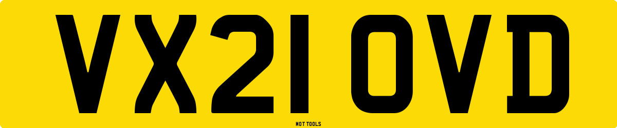 VX21OVD MOT Check