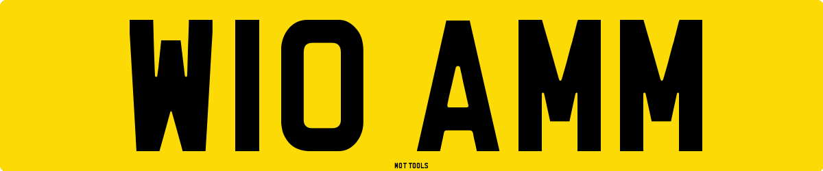W10AMM MOT Check