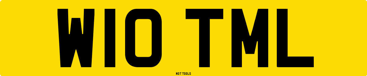 W10TML MOT Check