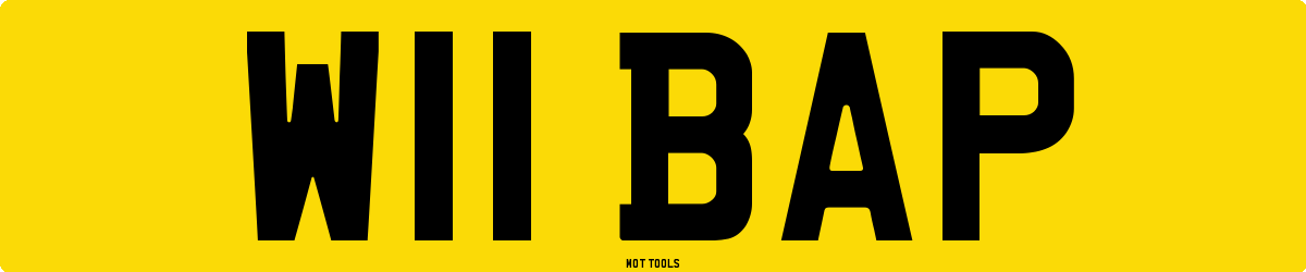W11BAP MOT Check